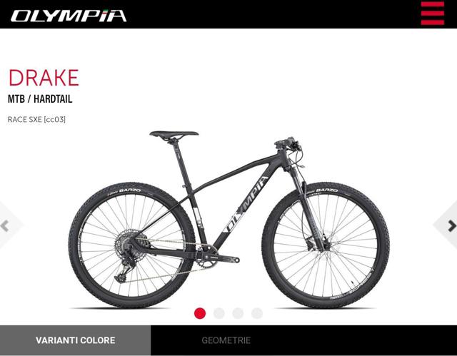 myPushop - Cicli il Biker Soresina | Olympia Drake Cougar 29\