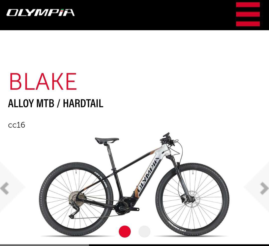 Bicycle Trubbiani Bici Alloy Trubbiani Cicli MyPushop Cicli Il Biker