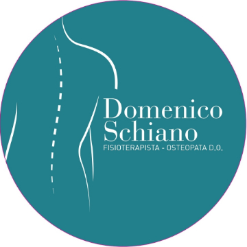 studio osteopatia fisioterapia domenico schiano logo