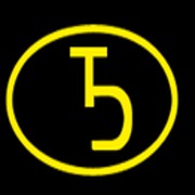 Diego Tamigi logo