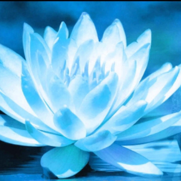 Lakshmi beauty's logo