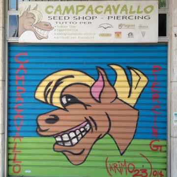 Campacavallo logo