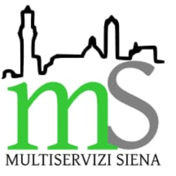 Multiservizi SIENA logo