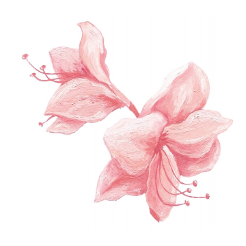 Amaryllis logo