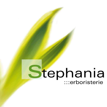 STEPHANIA logo