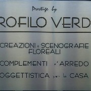 Profilo verde logo