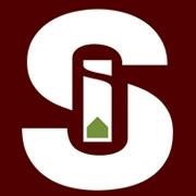 Savini Immobiliare logo