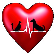 BATTITO ANIMALE logo
