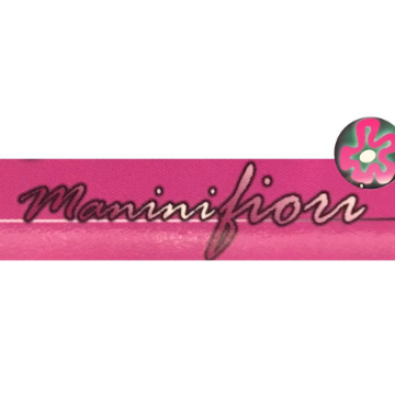 manini fiori logo