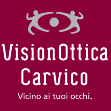 Vision Ottica Carvico logo