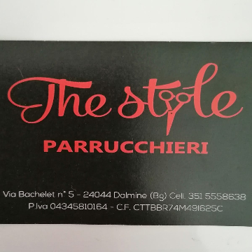 The Style Parrucchieri logo