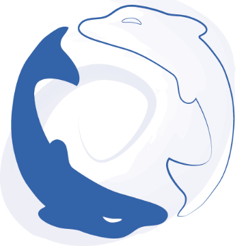 Diego calleri massaggiatore logo