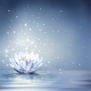 Maria Teresa Paciotti Fatima Coach e Operatrice Reiki logo