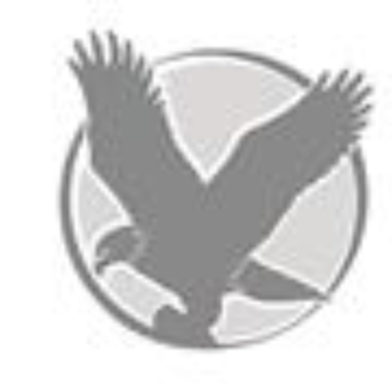 DBG SERVICE SRL logo