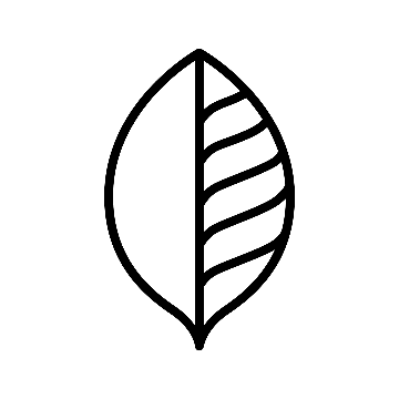 The Longevity Suite logo