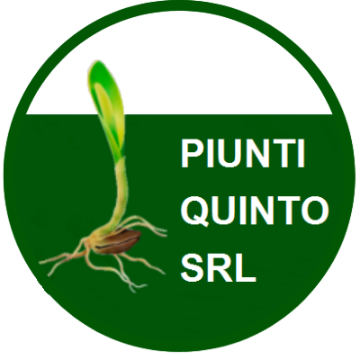 PIUNTI QUINTO SRL logo