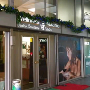 wellness milano logo