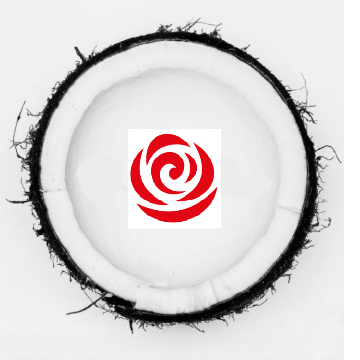 Rosso Make up logo