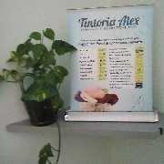 Tintoria Alex logo