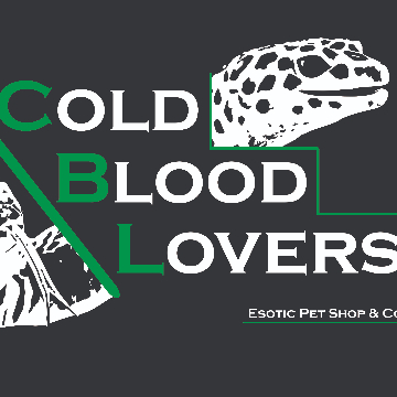 Coldblood lovers logo