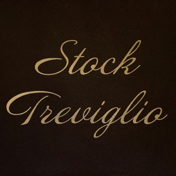 Stock Treviglio logo