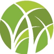 Sfusomania logo