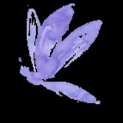 Nuvole di Fumo di Bozzola Alessandra logo