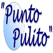 Punto Pulito logo
