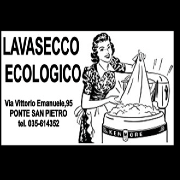 Lavasecco Ecologico di Consonni Mara logo
