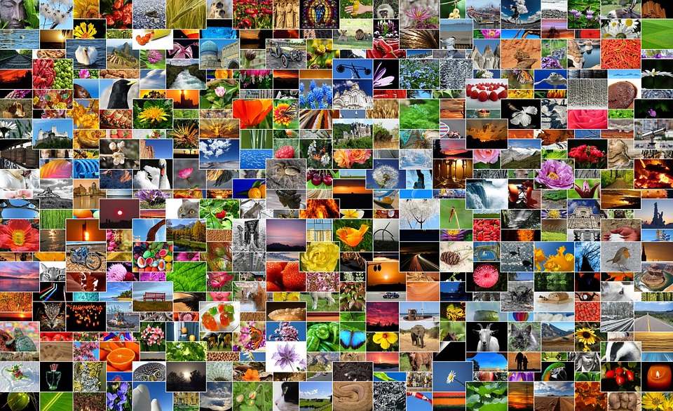 Scegliere l’immagine giusta da caricare in vetrina o nel catalogo ...